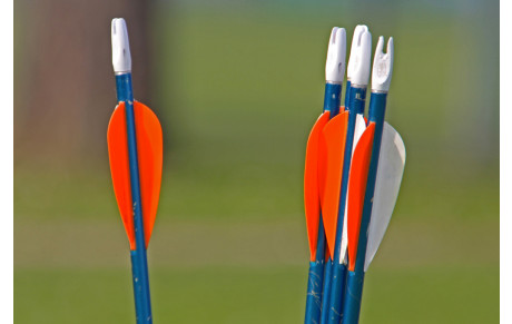 Championnat du VAR fédéral
